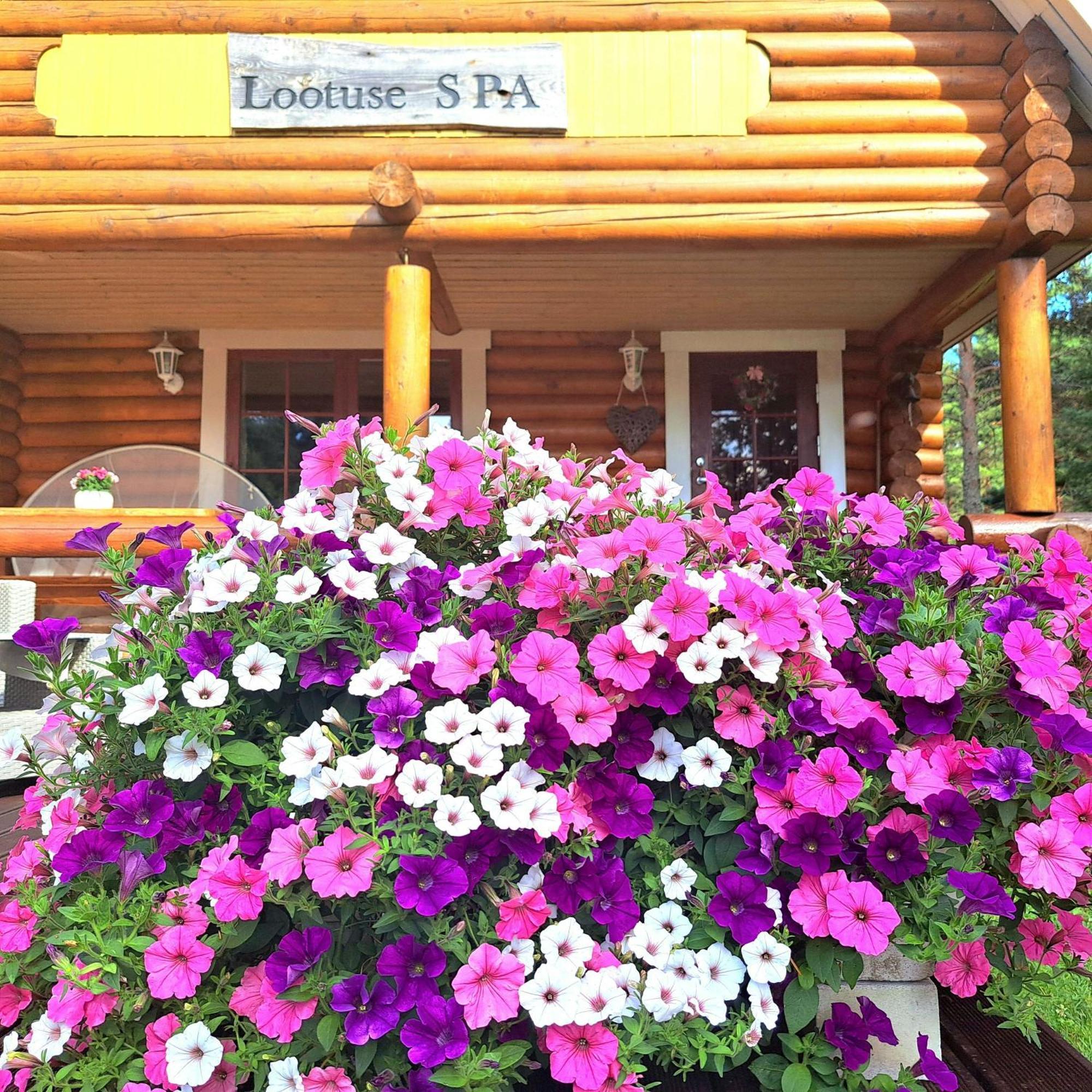 Lootuse Spa Nommemaa Exteriör bild