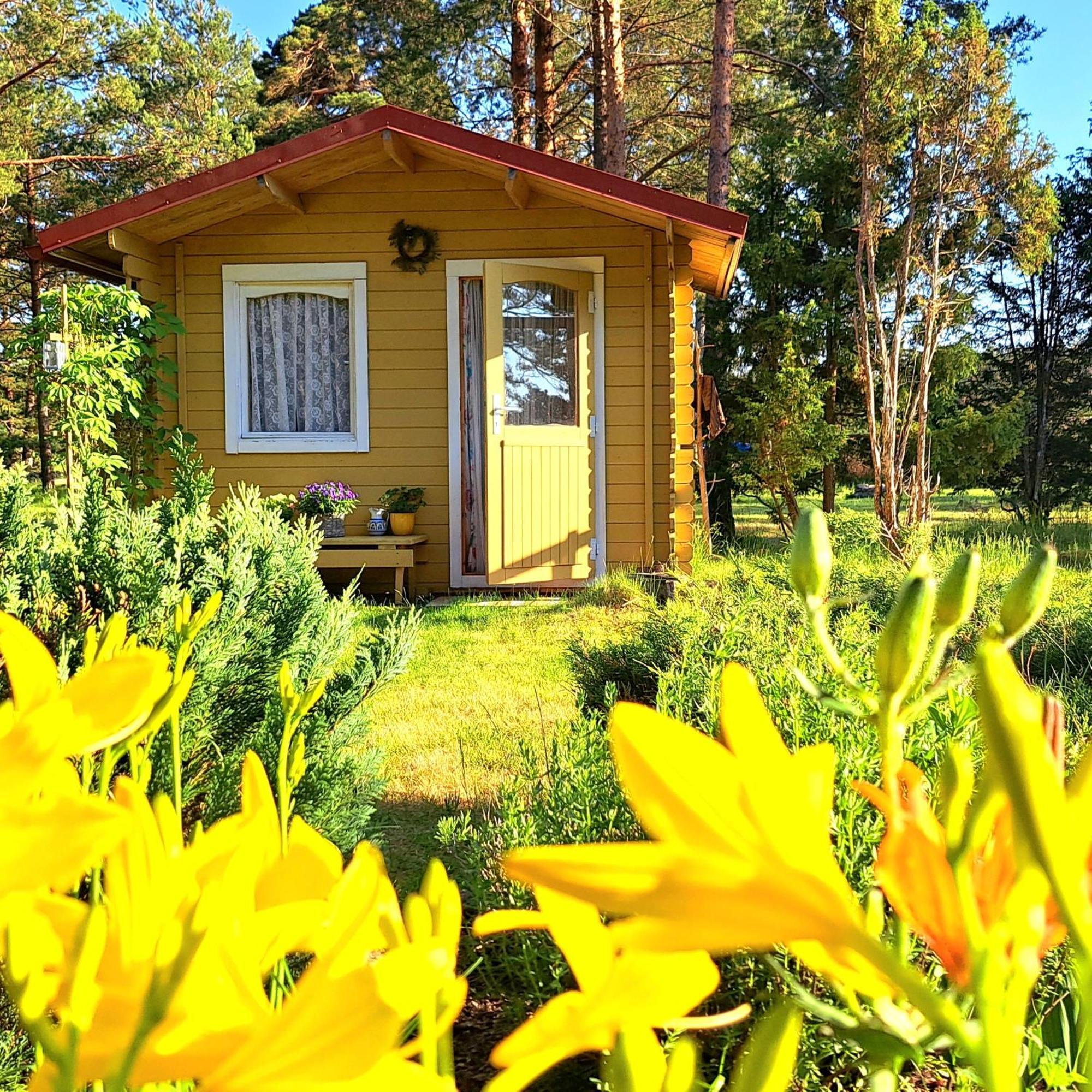 Lootuse Spa Nommemaa Exteriör bild